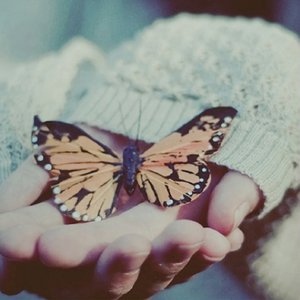 杨钰莹裸体欣赏1
