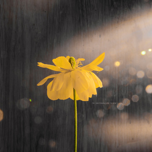 杨钰莹裸体欣赏1
